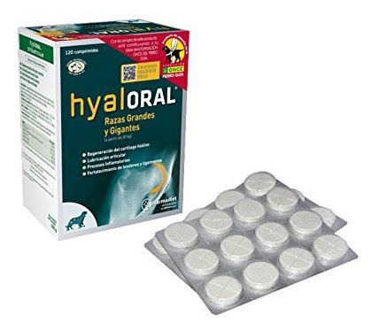 hyaloral para razas grandes y gigantes